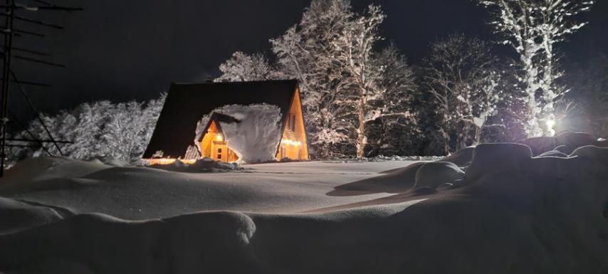 Vila Sun Forest Zabljak  Bagian luar foto