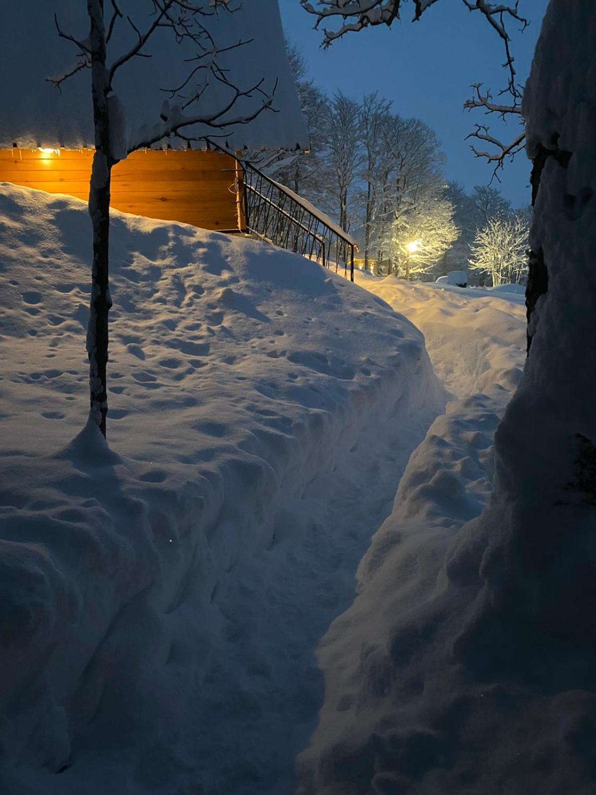 Vila Sun Forest Zabljak  Bagian luar foto