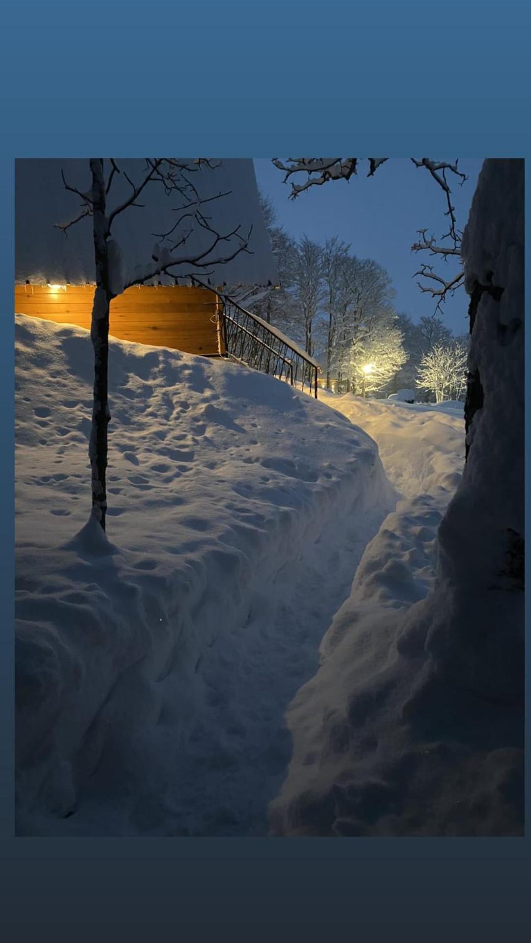 Vila Sun Forest Zabljak  Bagian luar foto