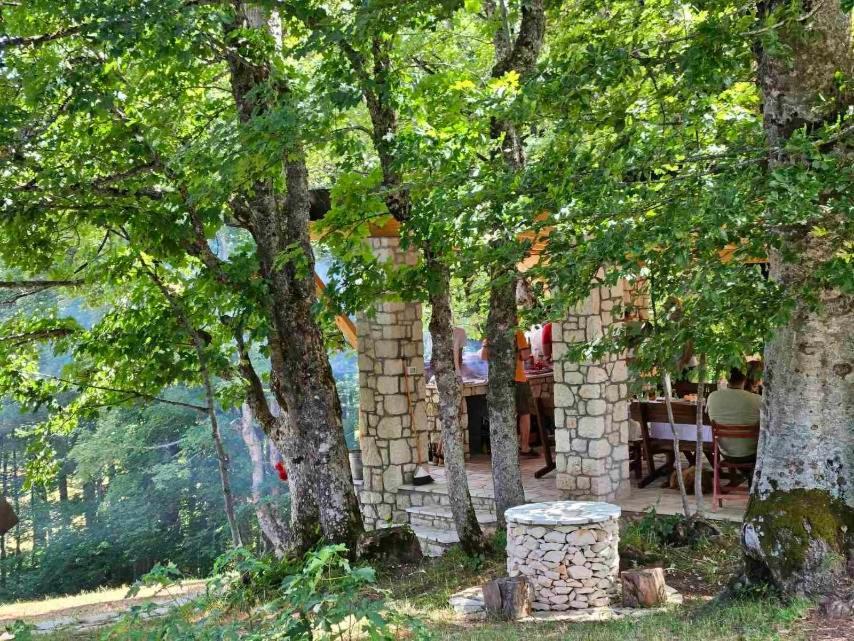 Vila Sun Forest Zabljak  Bagian luar foto
